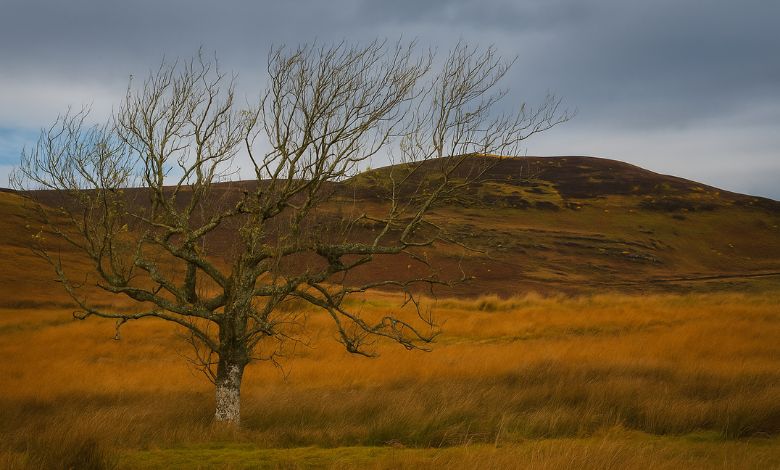Autumn in Scotland