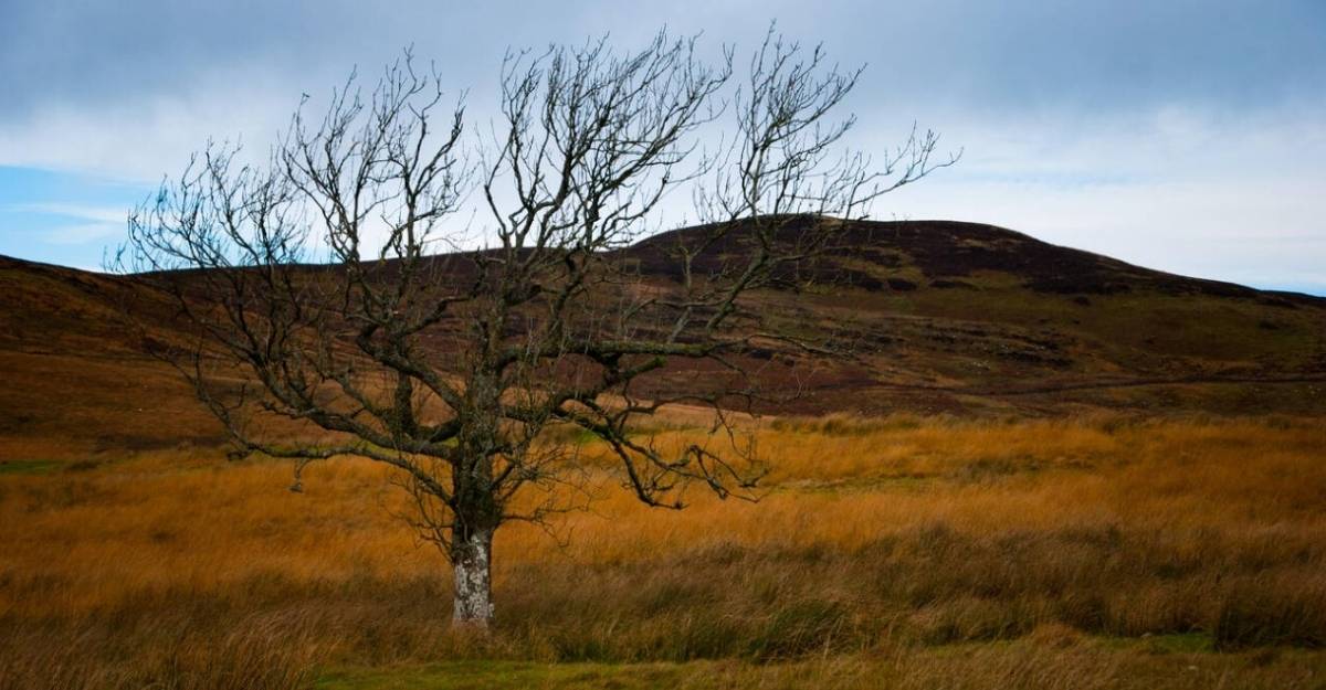 Autumn in Scotland