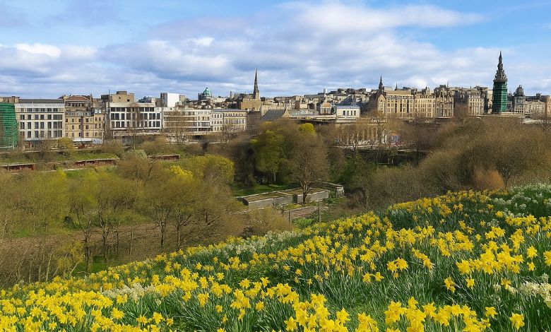 Spring in Scotland